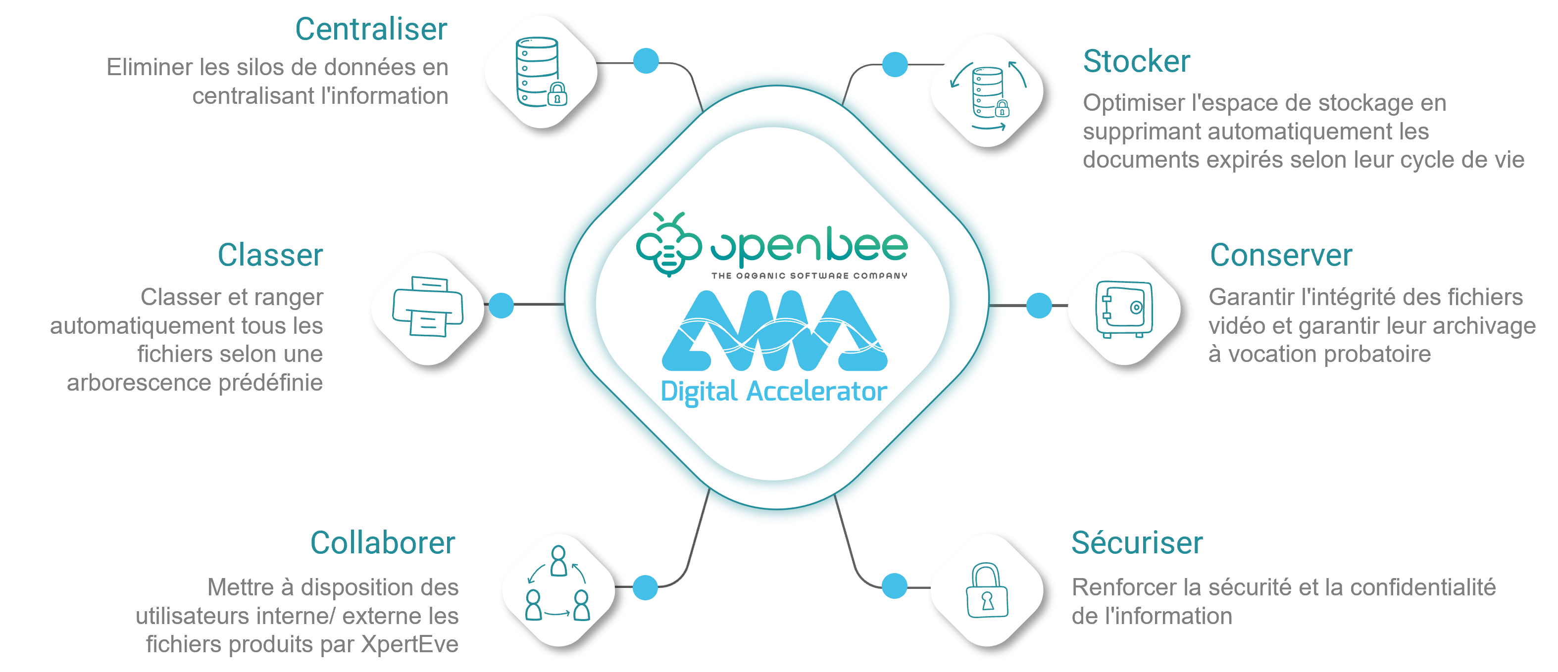 AMA et Open Bee